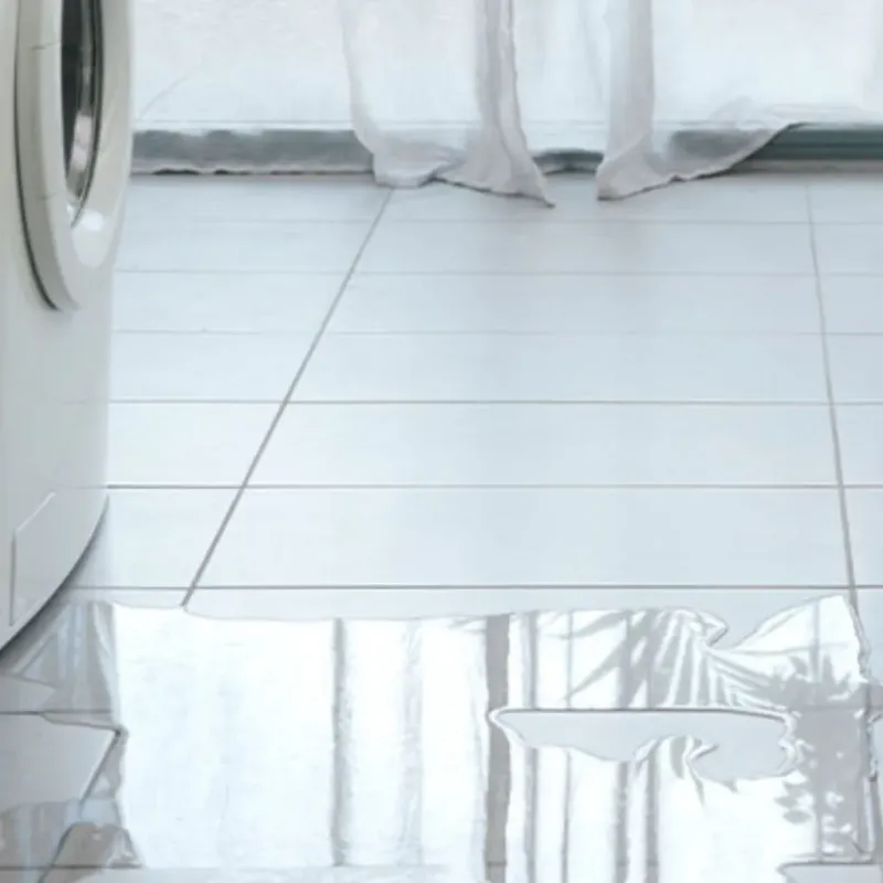 Appliance Leak Cleanup in Marrero, LA