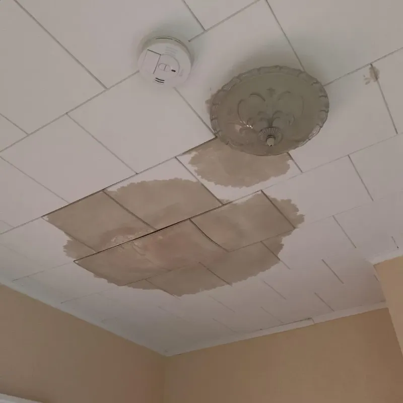 Ceiling Water Damage Repair in Marrero, LA