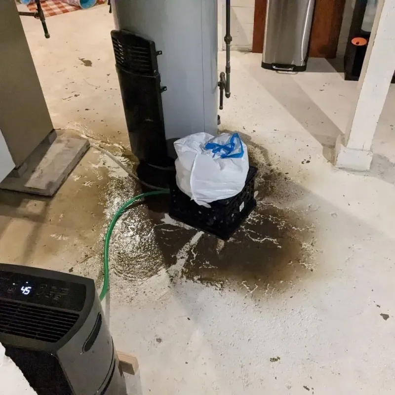 Sewage Backup Cleanup Service in Marrero, LA